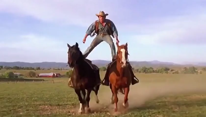 Person Standing on 2 Horses